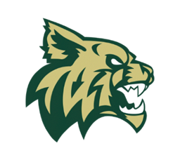 Chisago Lakes