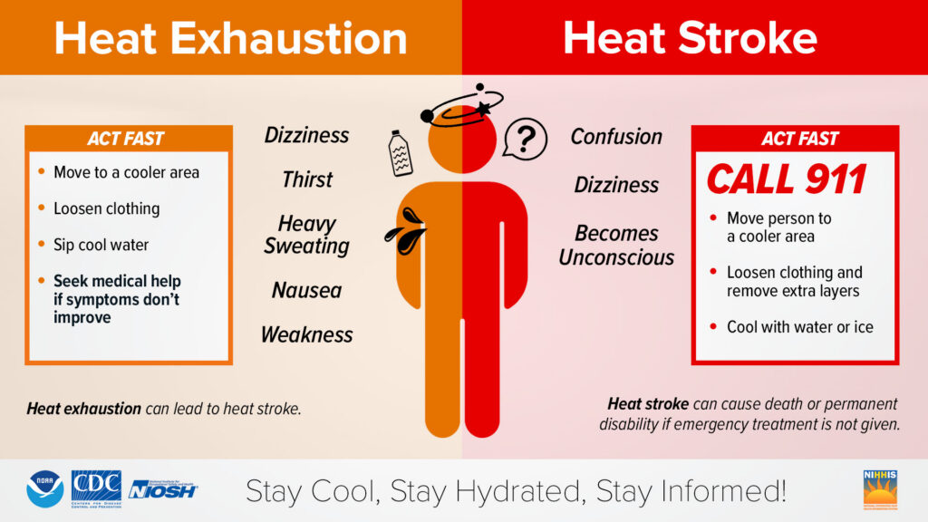 Heat Exhaustion & Heat Stroke Graphic